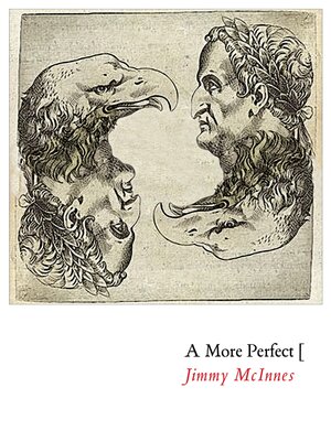 cover image of A More Perfect [